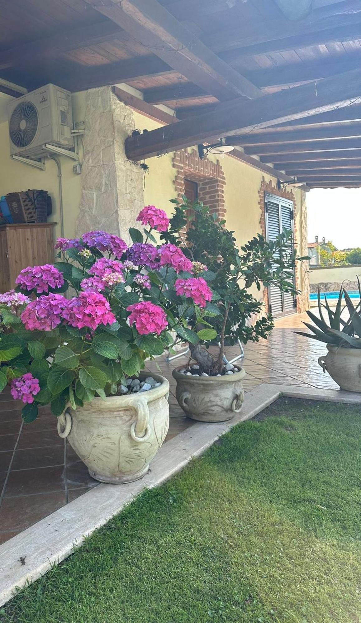 Gold House Luxury Anzio Vila Exterior foto